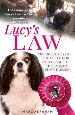Lucy's Law - Abraham, Marc