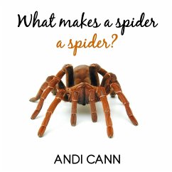 What Makes a Spider a Spider - Cann, Andi