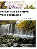 A walk in Valle del Lozoya