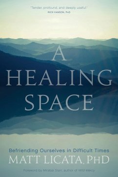 A Healing Space: Befriending Ourselves in Difficult Times - Licata, Matt