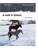 A walk in Valsaín