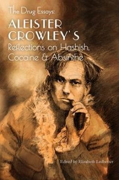 Cover The Drug Essays (eBook, ePUB)