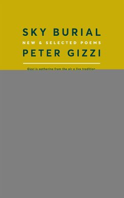 Sky Burial (eBook, ePUB) - Gizzi, Peter