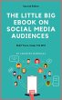 The Little Big eBook on Social Media... - Bild 1