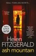 Ash Mountain (eBook, ePUB) - Bild 1