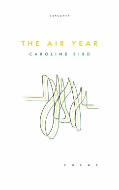 Cover The Air Year (eBook, ePUB)
