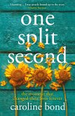 One Split Second (eBook, ePUB)