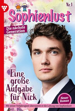 Eine große Aufgabe für Nick (eBook, ePUB) - Hellwig, Ursula