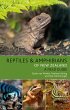 Reptiles and Amphibians of New Zealand... - Bild 1