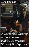 A Historical Survey of the Customs, Habits, & Present State of the Gypsies (eBook, ePUB)