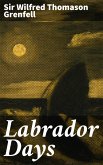 Labrador Days (eBook, ePUB)