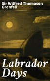 Labrador Days (eBook, ePUB)