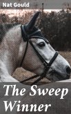The Sweep Winner (eBook, ePUB)