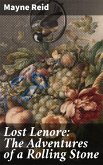 Lost Lenore: The Adventures of a Rolling Stone (eBook, ePUB)
