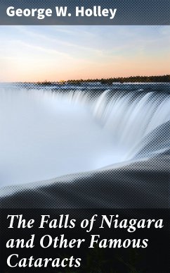 The Falls of Niagara and Other Famous Cataracts (eBook, ePUB) - Holley, George W.