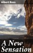 A New Sensation (eBook, ePUB) - Bild 1