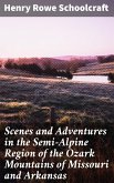 Scenes and Adventures in the Semi-Alpine Region of the Ozark Mountains of Missouri and Arkansas (eBook, ePUB)