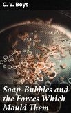 Soap-Bubbles and the Forces Which Mould Them (eBook, ePUB)