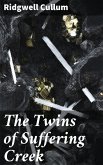 The Twins of Suffering Creek (eBook, ePUB)