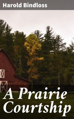 Cover A Prairie Courtship (eBook, ePUB)