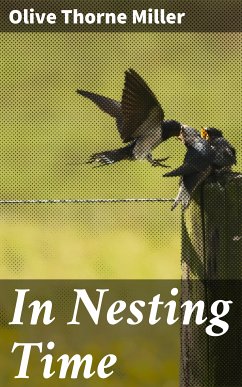 In Nesting Time (eBook, ePUB) - Miller, Olive Thorne