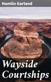 Wayside Courtships (eBook, ePUB)