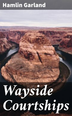 Wayside Courtships (eBook, ePUB) - Garland, Hamlin