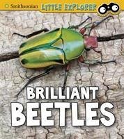 Brilliant Beetles - Higgins, Melissa