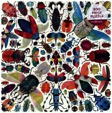 Kaleido Beetles 500 Piece Family Puzzle