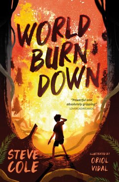 World Burn Down - Cole, Steve