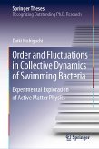 Order and Fluctuations in Collective Dynamics of Swimming Bacteria (eBook, PDF)