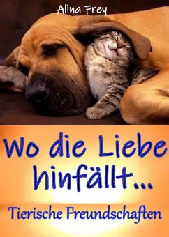 Wo die Liebe hinfällt... (eBook, ePUB) - Frey, Alina