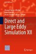 Direct and Large Eddy Simulation XII - Bild 1
