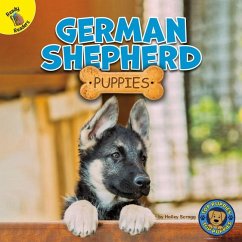 German Shepherd Puppies - Scragg, Hailey