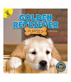 Golden Retriever Puppies - Scragg, Hailey