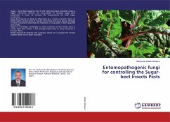 Entomopathogenic fungi for controlling the Sugar-beet Insects Pests