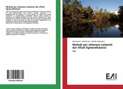 Metodi per ottenere sorbenti dai rifiuti lignocellulosici - Kupcik, Lidia;Sîci, Natalia;Grigorenko, Natalia