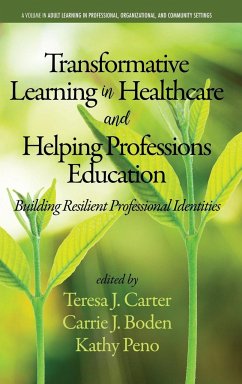 Transformative Learning in Healthcare and Helping Professions Education