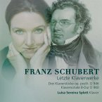 Franz Schubert Letzte Klavierwerk