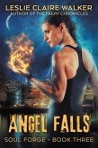 Angel Falls (Soul Forge, #3) (eBook, ePUB)