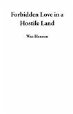 Forbidden Love in a Hostile Land (eBook, ePUB)