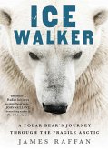Ice Walker (eBook, ePUB)