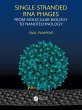 Single-stranded RNA phages (eBook, ePUB) - Bild 1