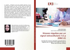 Kinases régulées par un signal extracellulaire 1/2 p (ERK1/2) - Saleh Hasan, Abeer;Ghali Al Salihi, Farah;Shehab Ahmed, Salam Shehab Ahmed