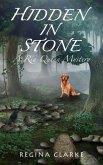 Hidden In Stone (Ria Quinn Mysteries, #1) (eBook, ePUB)