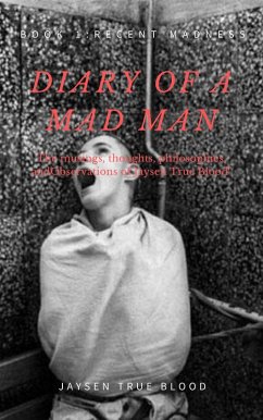Diary Of A Madman, Book 1: Recent Madness (eBook, ePUB) - Blood, Jaysen True