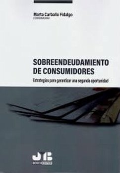 Cover Sobreendeudamiento de consumidores: estrategias para garantizar una segunda oportunidad (eBook, PDF)