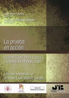 La prueba en acción (eBook, PDF) - Picó I Junoy, Joan; de Miranda Vázquez, Carlos