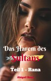 Das Harem des Sultans - Teil 1: Rana (eBook, ePUB)