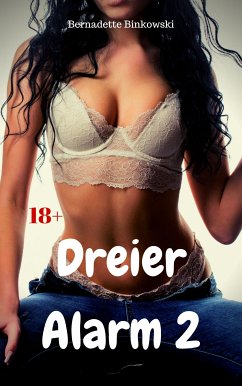 Dreier Alarm 2 (eBook, ePUB) - Binkowski, Bernadette